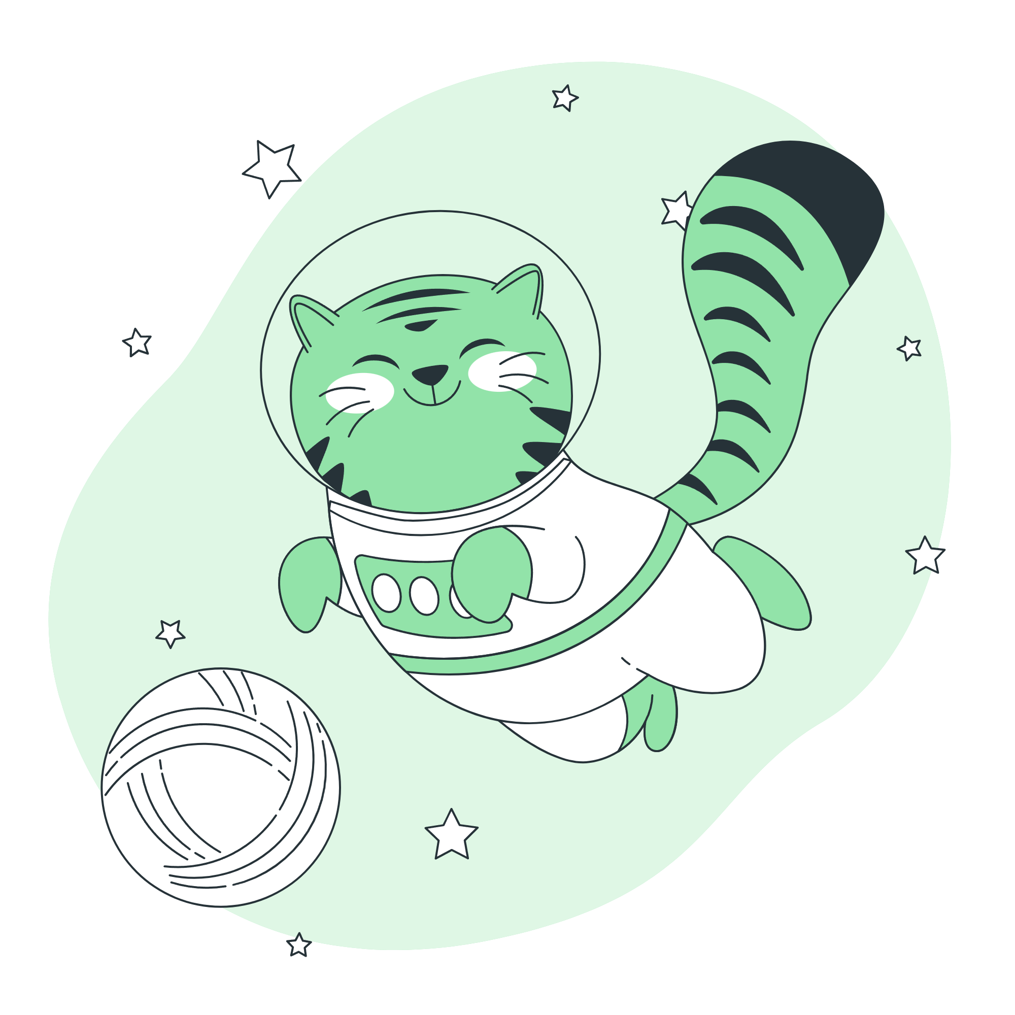 Cat Astronaut